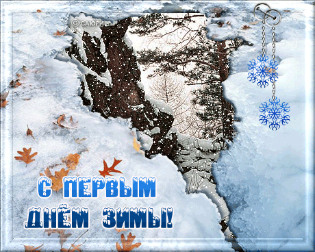 Новогодние открытки. Умиротворяющая анимированная открытка «С первым днём зимы!». Посмотрите на этот чудесный зимний лес, в котором всё покрыто чистым первым снегом, который неторопливо летит с небес, чтобы порадовать нас в первый день зимы.