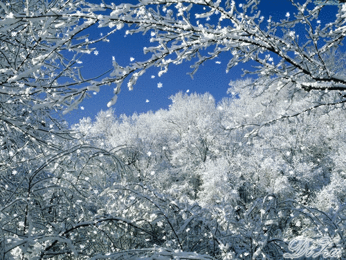 Новогодние открытки. Зимний лес, ярко светит солнце и падает снег. Красивая новогодняя открытка.