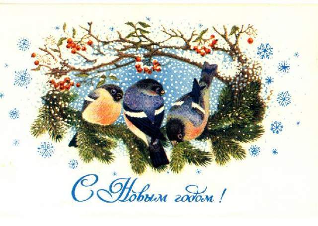 Новогодние открытки. Милая новогодняя открытка для всех любителей птиц и новогодних праздников. На этой новогодней открытке мы видим трёх чудесных птичек, которые собрались вместе встретить Новый год. У них есть и угощение – ягоды и шишечки. А что нужно для отличной встречи Нового года, кроме тёплой компании и хорошего угощения?