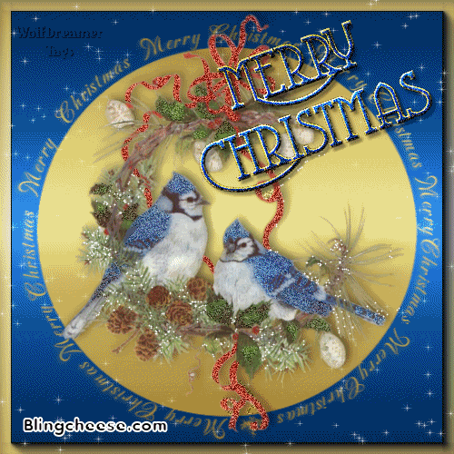 Новогодние открытки. Нет ничего приятнее на Рождество, чем красивая анимированная рождественская открытка. Тёмно-синяя анимированная рождественская открытка с двумя синицами, сидящими на еловых шишках с переливающимися звёздочками – лучший знак внимания для Ваших близких.