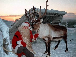 Санта и его олень