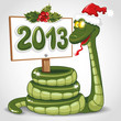 Зелёная змея в красном колпаке держит табличку с надписью 2013.