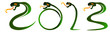 Четыре зелёные змейки изгибаясь образуют надпись 2013.