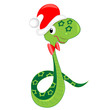 Очень красивая зелёная змейка в праздничной шапочке