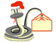 Серо-жёлтая змея держит табличку, на которой можно написать что угодно, поздравление или 2013, голова змеи повёрнута вправо