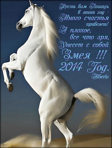 Новогодние открытки с лошадкой (19)