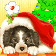 new-year-dogs (102)