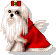 new-year-dogs (103)