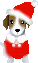 new-year-dogs (120)