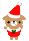 new-year-dogs (125)