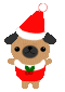 new-year-dogs (127)