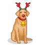 new-year-dogs (128)