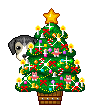 new-year-dogs (30)