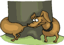 new-year-dogs (32)