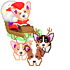 new-year-dogs (49)