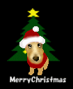new-year-dogs (68)